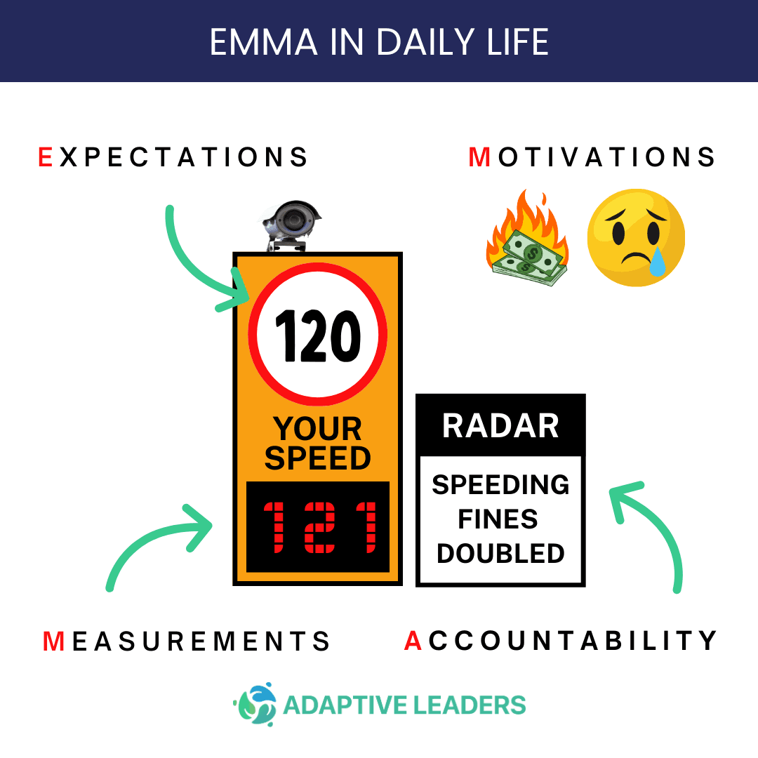 Introducing EMMA (our Performance Leadership Framework) 3