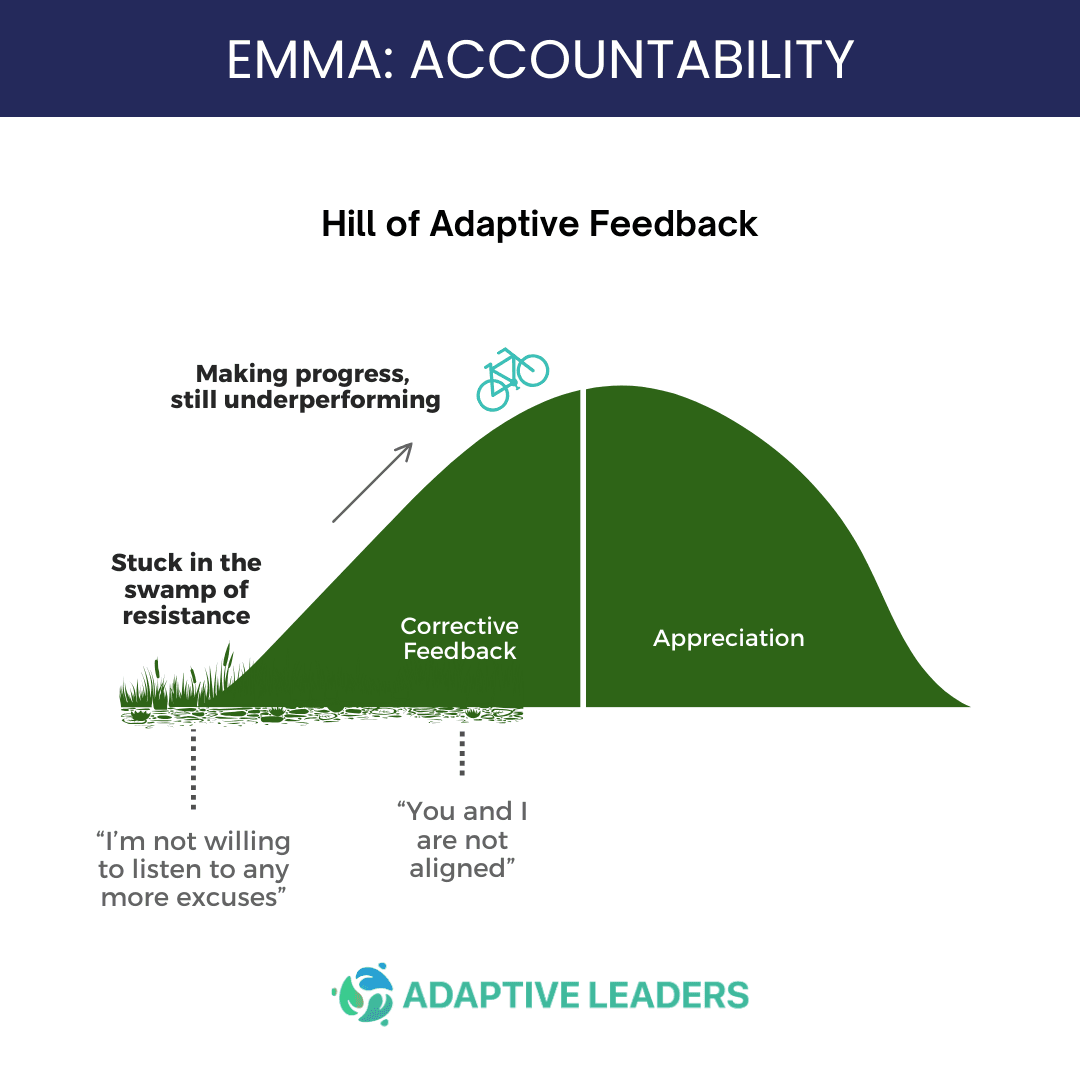 3Cs & Accountability (EMMA step 4) 1